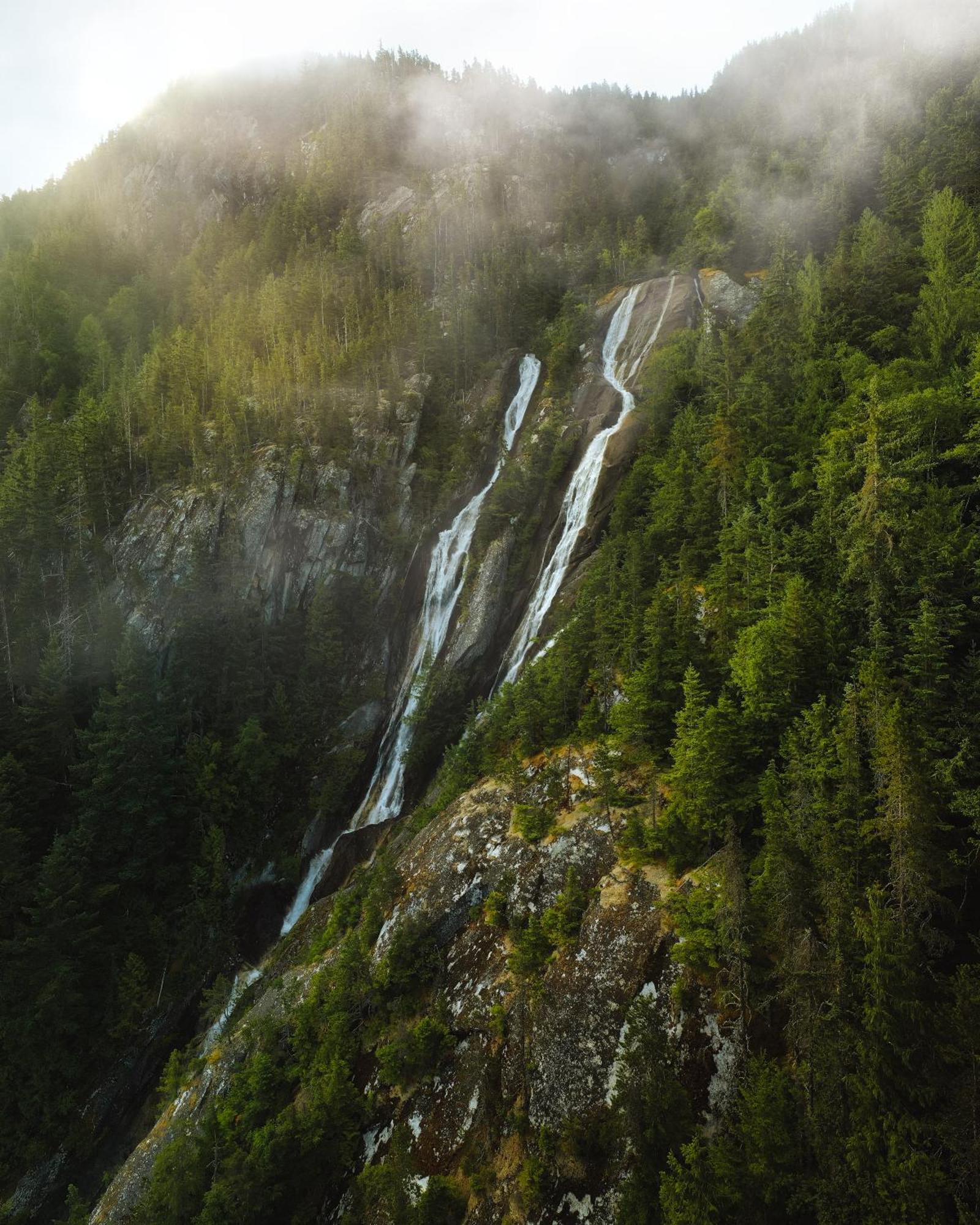 Bella Coola Grizzly Tours And Resort Hagensborg Ngoại thất bức ảnh