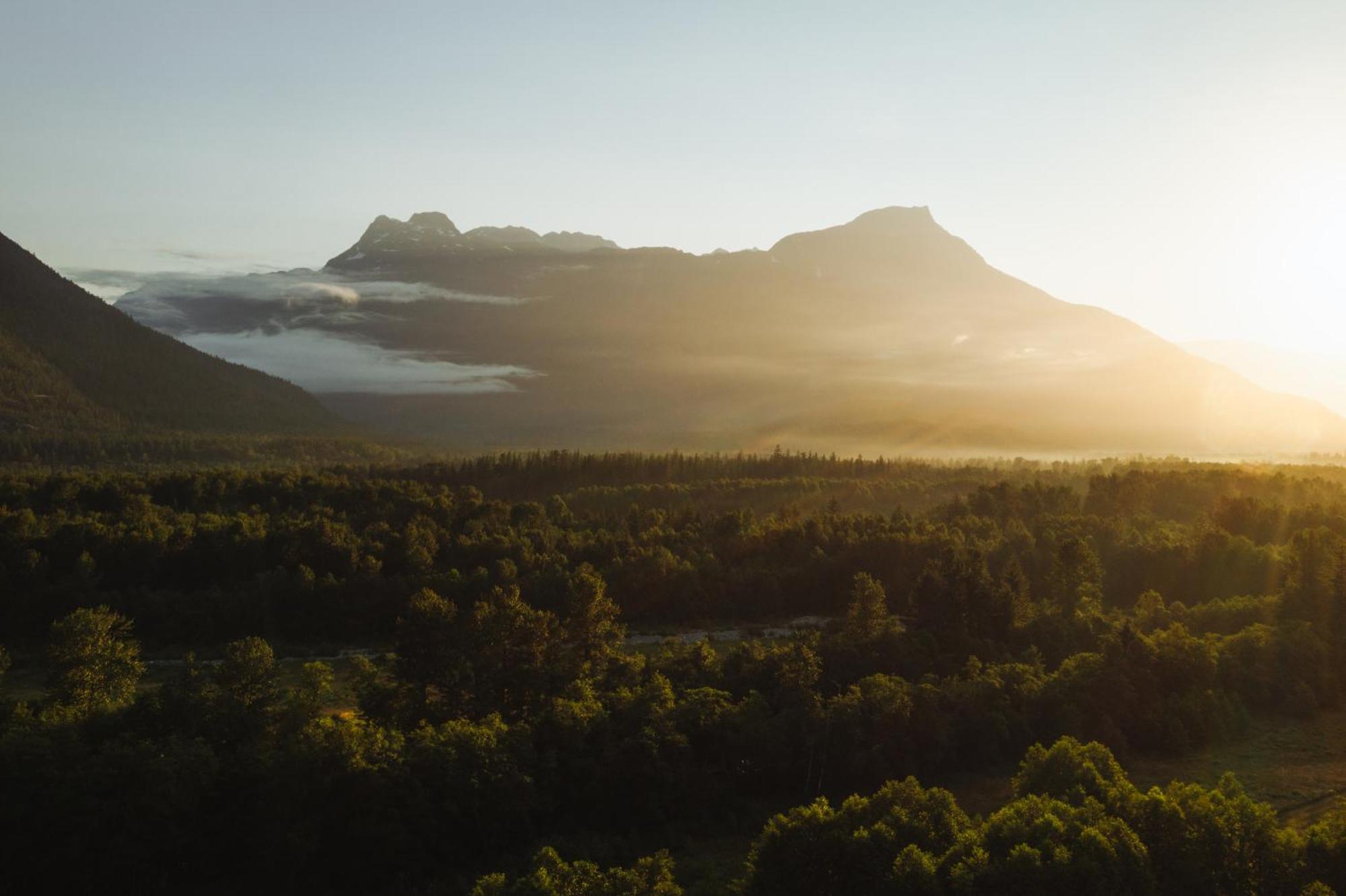 Bella Coola Grizzly Tours And Resort Hagensborg Ngoại thất bức ảnh