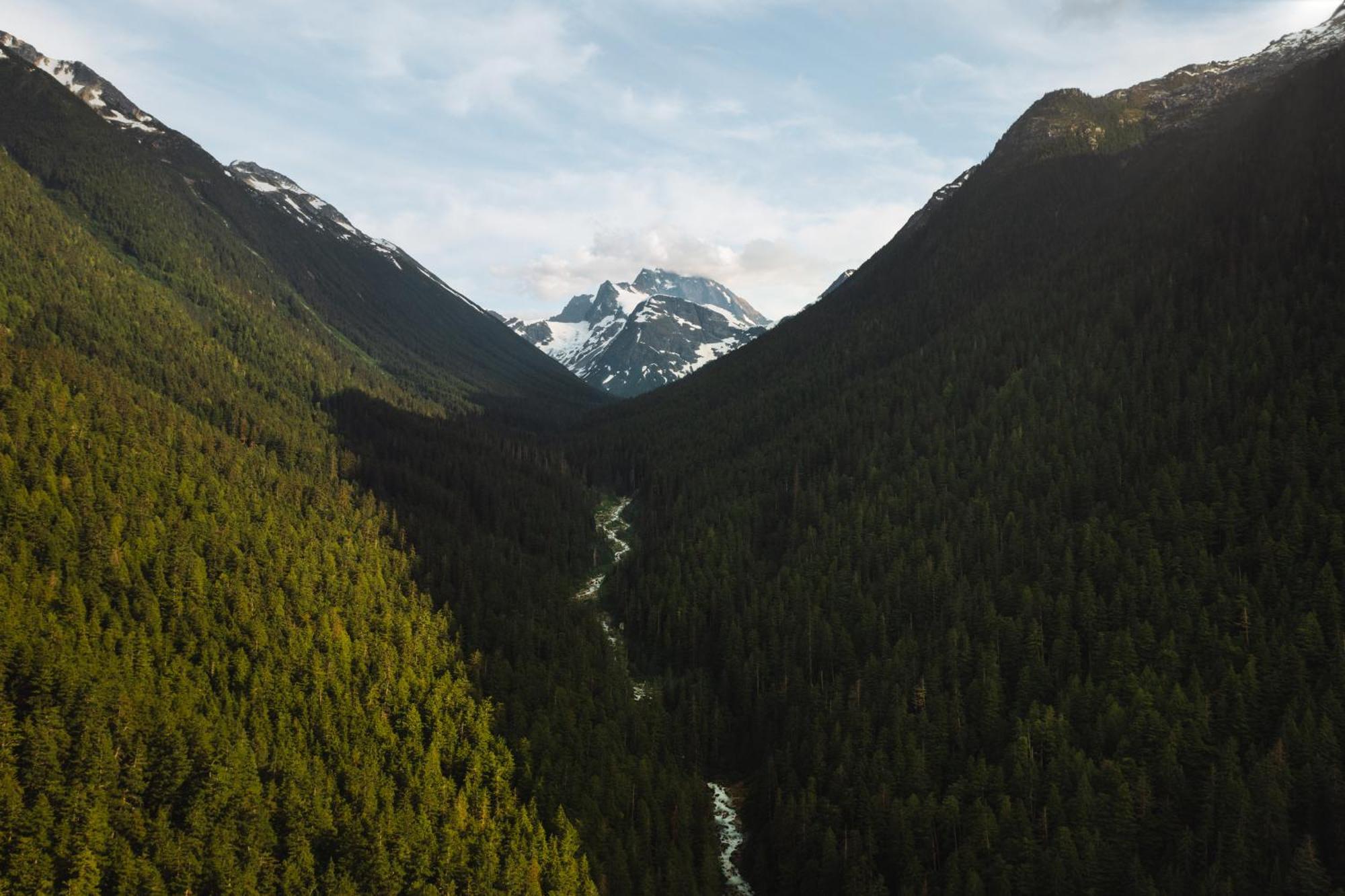 Bella Coola Grizzly Tours And Resort Hagensborg Ngoại thất bức ảnh