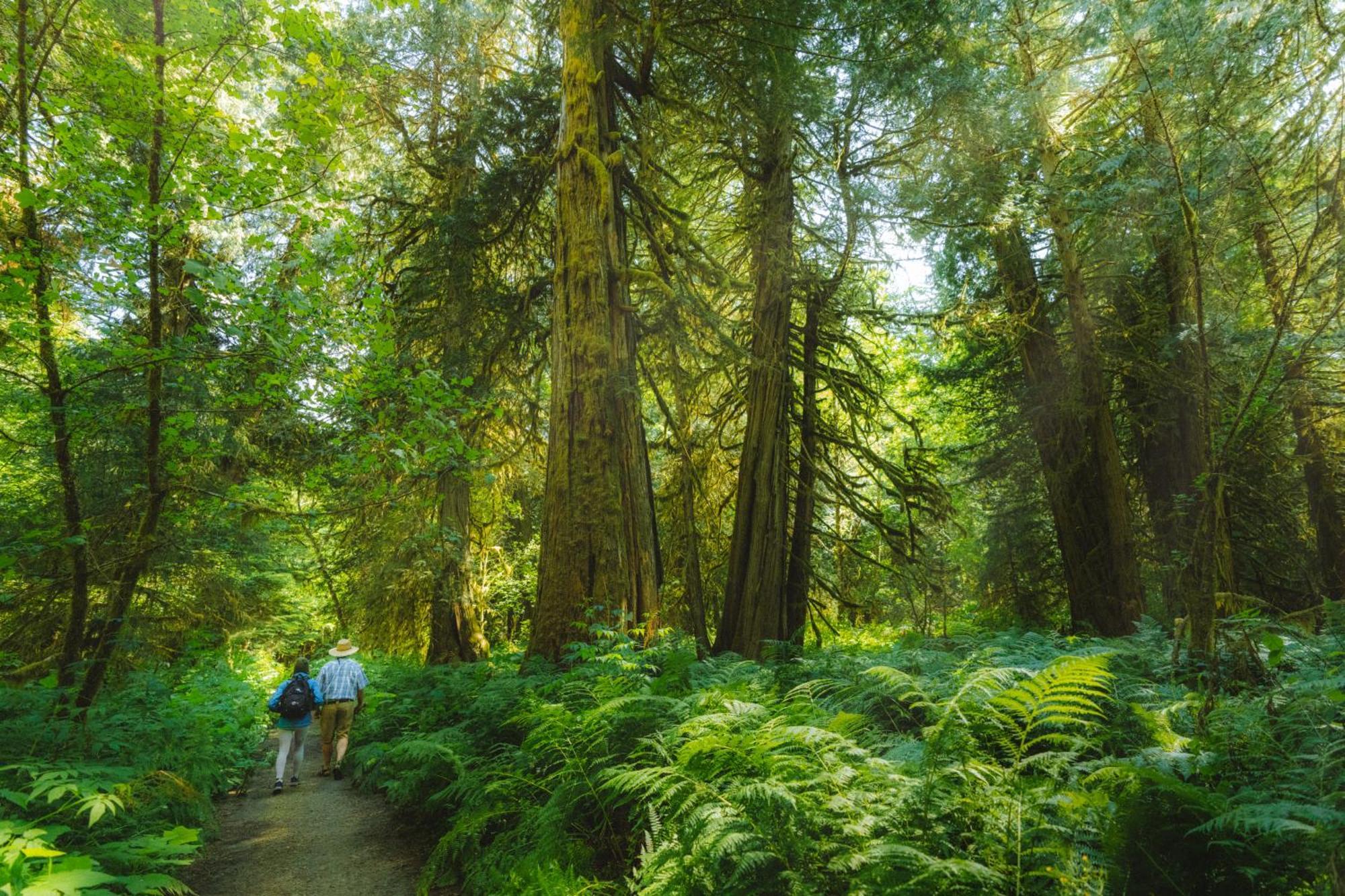 Bella Coola Grizzly Tours And Resort Hagensborg Ngoại thất bức ảnh