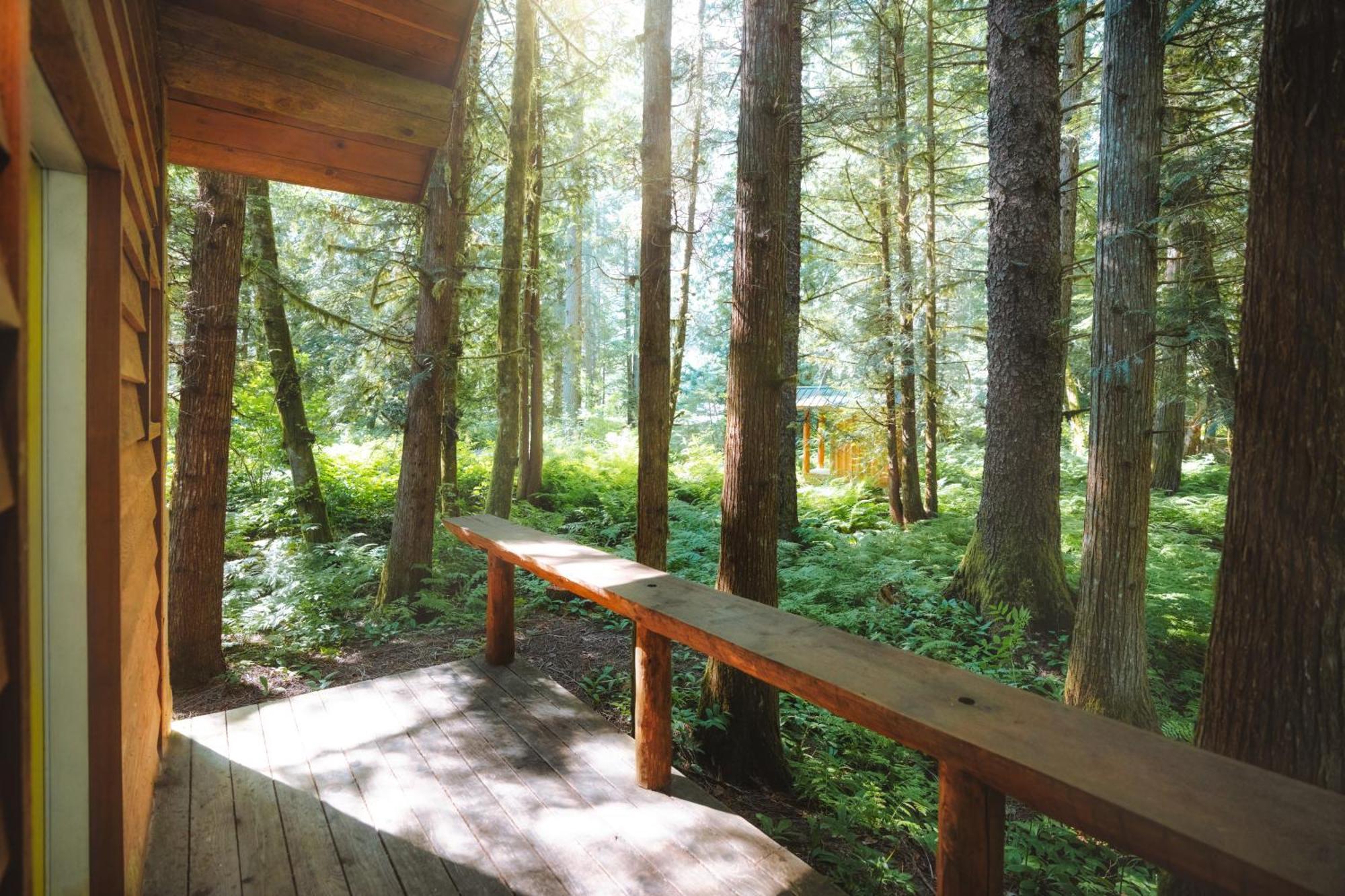 Bella Coola Grizzly Tours And Resort Hagensborg Ngoại thất bức ảnh